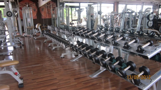  Palestra Professione Fitness
