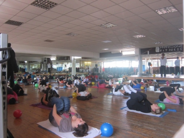  Palestra Professione Fitness