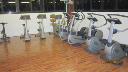  Palestra Professione Fitness