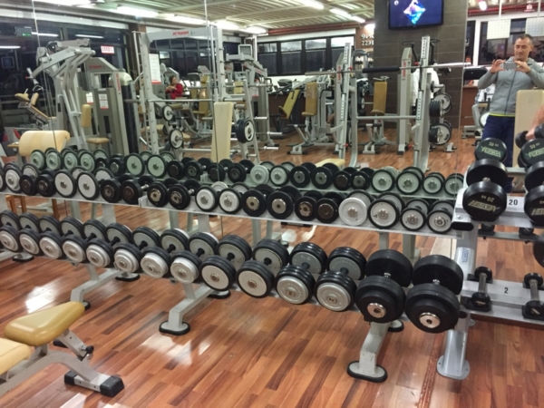 Palestra Professione Fitness
