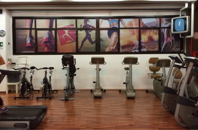 Palestra Professione Fitness