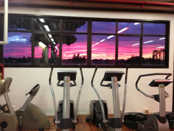 Palestra Professione Fitness