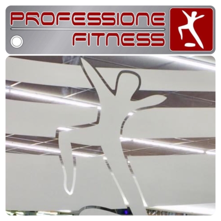 Professione Fitness