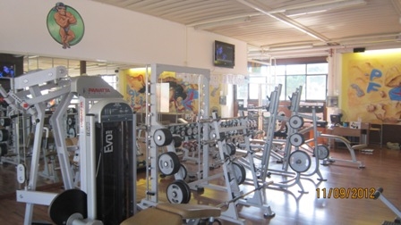  Palestra Professione Fitness