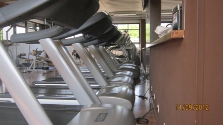  Palestra Professione Fitness